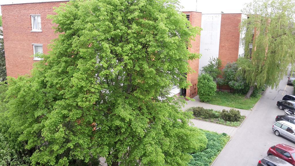 Apartment Amber Sky 팔랑가 외부 사진